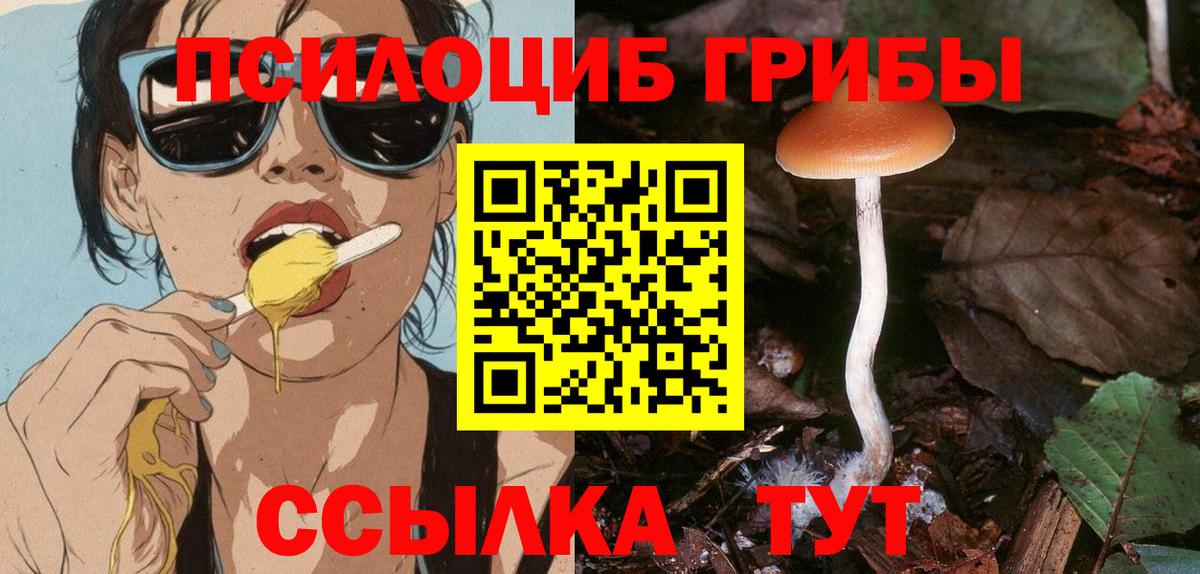Галлюциногенные грибы MAGIC MUSHROOMS  купить  цена  Павлово  Псилоцибиновые грибы Cubensis  Вход с VPN 