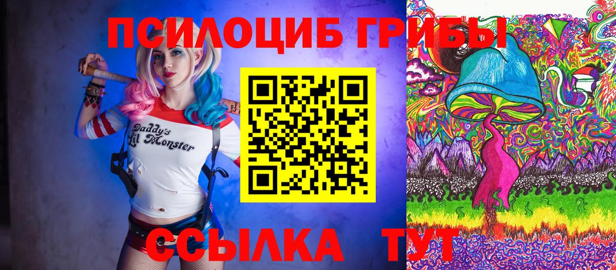 Галлюциногенные грибы мицелий Павлово